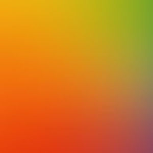 Meet your Posher, Julius